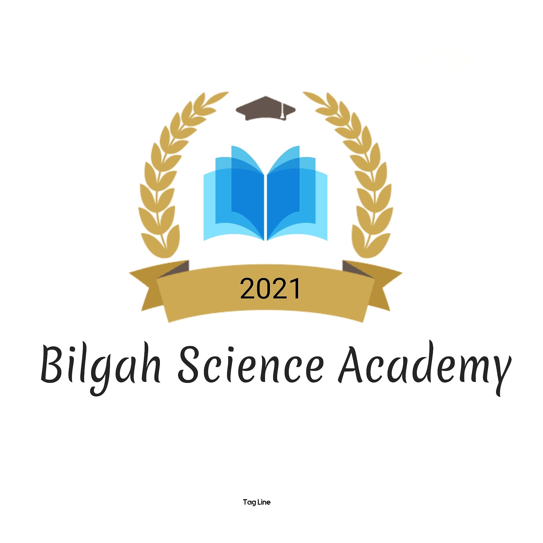 BilgahAcademy logo